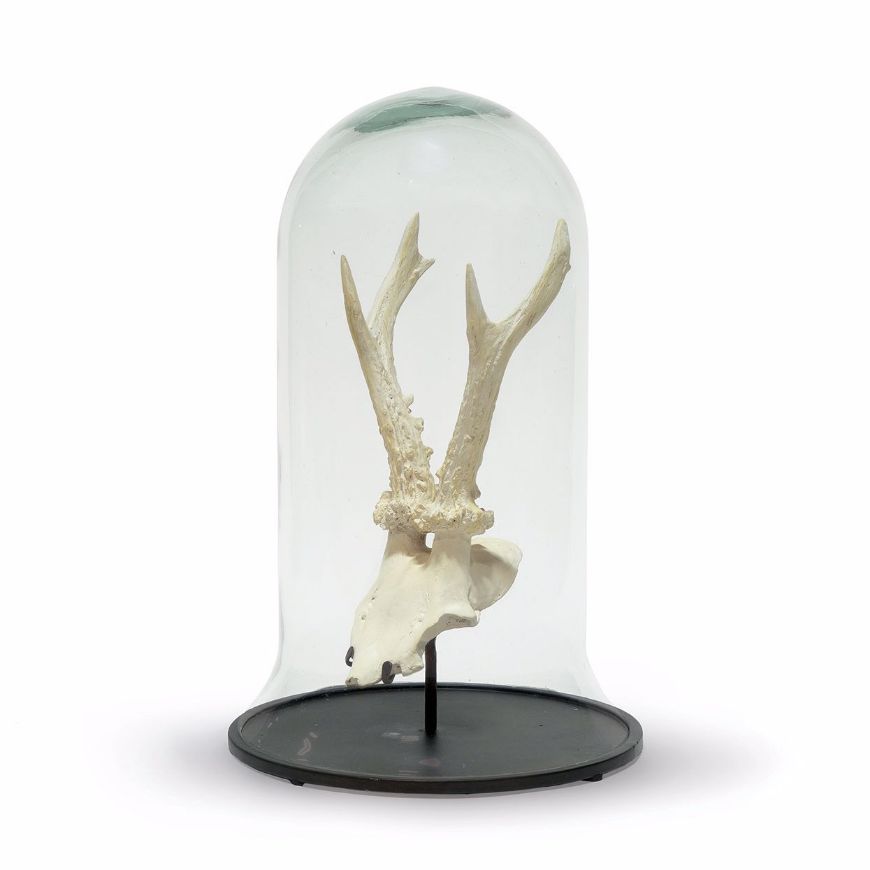Picture of ANTLER CLOCHE