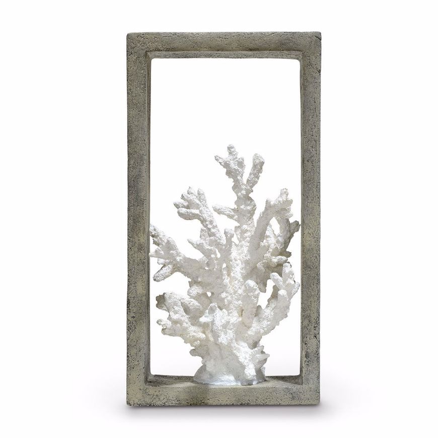 Picture of INDOOR/OUTDOOR FINGER CORAL SHADOW BOX